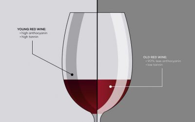 Young Wine May Be Better Than Old Wine