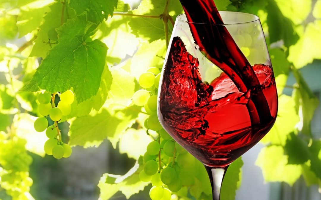 Half of Canadians support Canadian wines: Mintel research