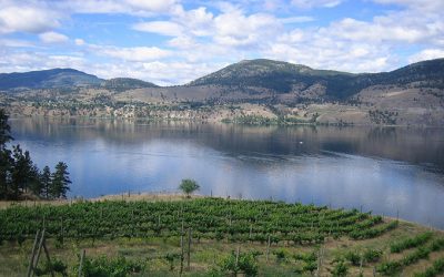 Top 5 Most Popular Wine Destinations in Canada