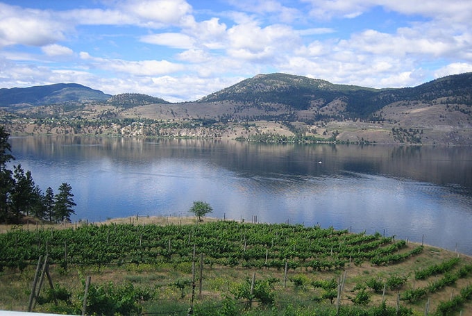 Top 5 Most Popular Wine Destinations in Canada