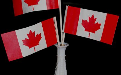 Best Wines to Drink on Canada Day