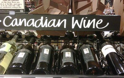Top Reasons Why You Should Taste Canadian Wines