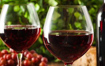 Wine Drinking Tips for Beginners