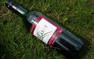 Best Wines to Enjoy in Summer