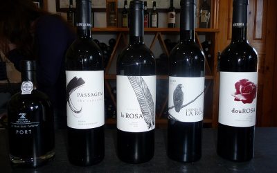 Tips for Planning an Enjoyable Wine Trip