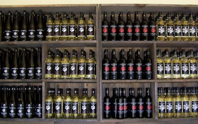 The 5 Most Popular Canadian Riesling Wines